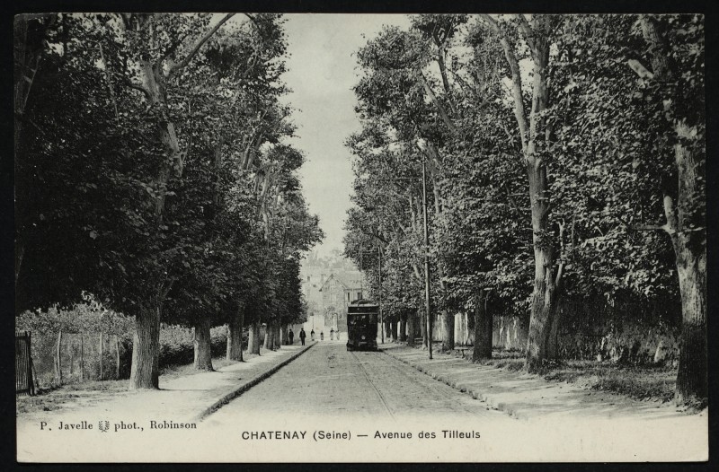 Carte postale ancienne Avenue des Tilleuls à Châtenay-Malabry