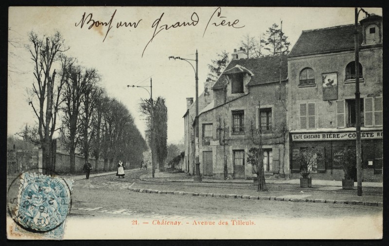 Carte postale ancienne Avenue des Tilleuls à Châtenay-Malabry
