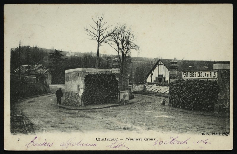 Carte postale ancienne Pépinière Croux à Châtenay-Malabry
