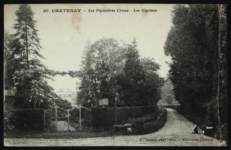 Carte postale ancienne Les Pépinière Croux-Les Glycines à Châtenay-Malabry