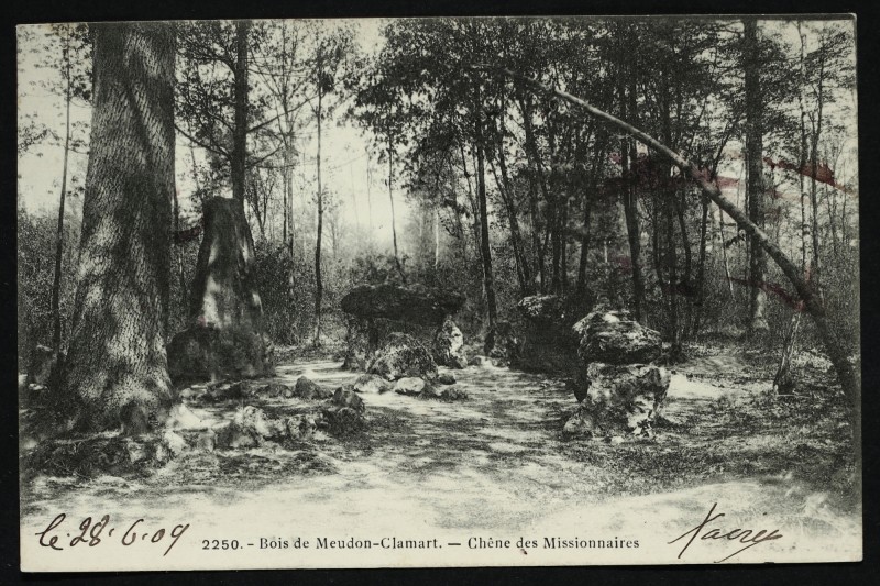 Carte postale ancienne Bois de Meudon-Clamart - Chêne des Missionnaires à Meudon