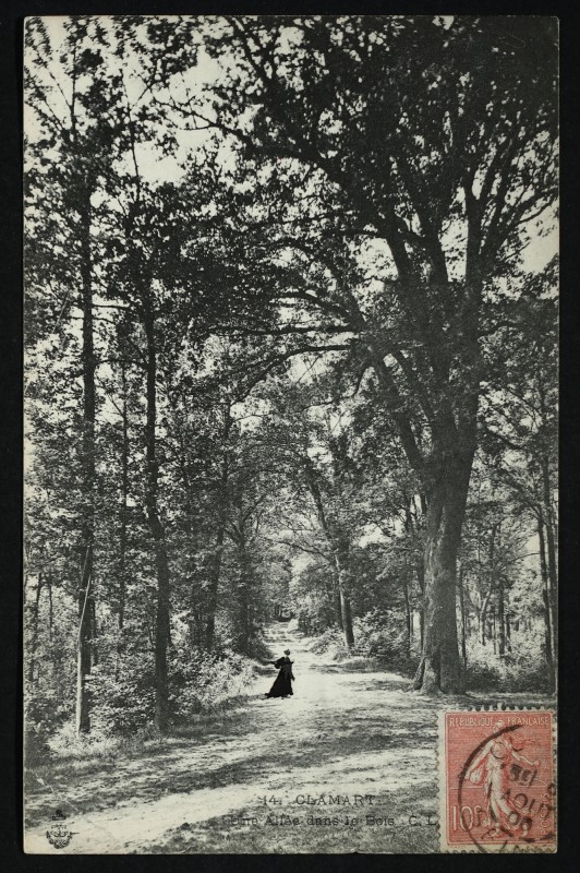 Carte postale ancienne Une allée dans le Bois à Clamart
