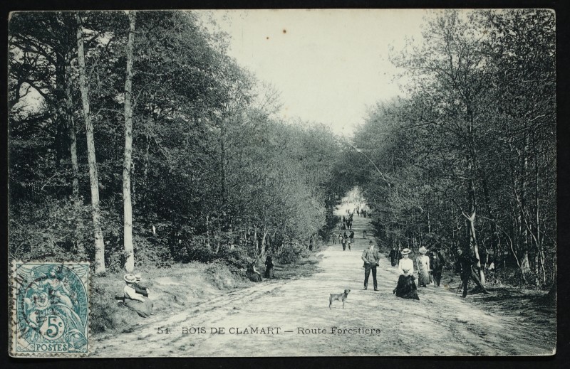 Carte postale ancienne Bois de Clamart - Route Forestière à Clamart