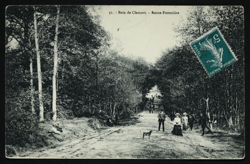 Carte postale ancienne Bois de Clamart - Route Forestière à Clamart