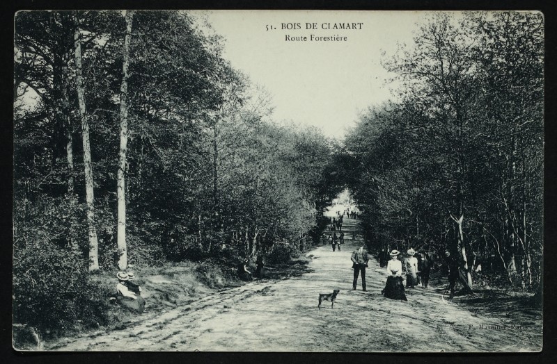 Carte postale ancienne Bois de Clamart - Route Forestière à Clamart