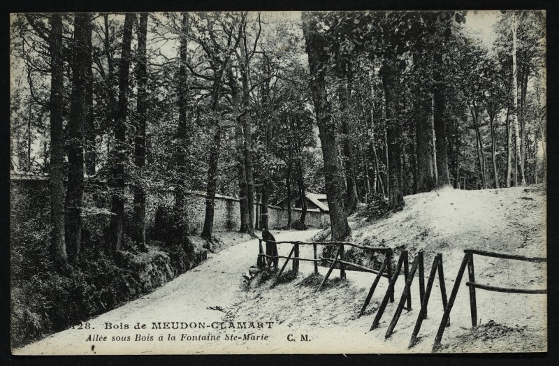 Carte postale ancienne Bois de Meudon-Clamart - Allée sous bois à la Fontaine Ste-Marie à Clamart