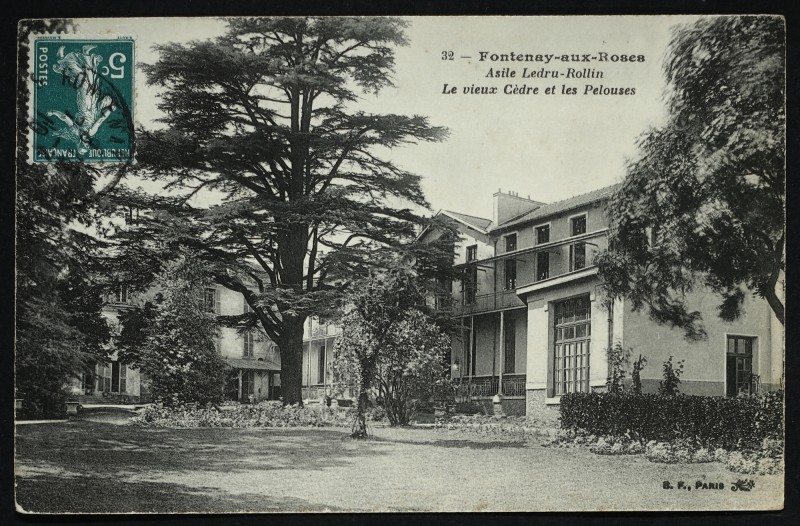 Carte postale ancienne Asile Ledru-Rollin - Les Jardins - Le vieux Cèdre et les Pelouses à Fontenay-aux-Roses