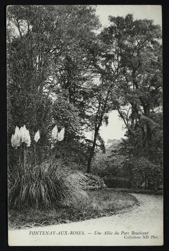 Carte postale ancienne Une allée du parc Boucicaut à Fontenay-aux-Roses