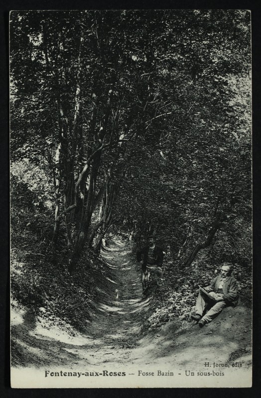 Carte postale ancienne Fosse Bazin - un sous-bois à Fontenay-aux-Roses