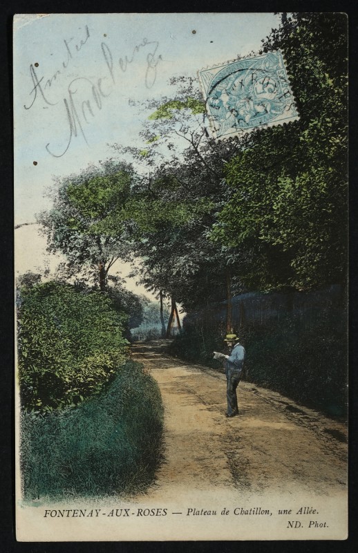 Carte postale ancienne Plateau de Châtillon - une allée à Fontenay-aux-Roses