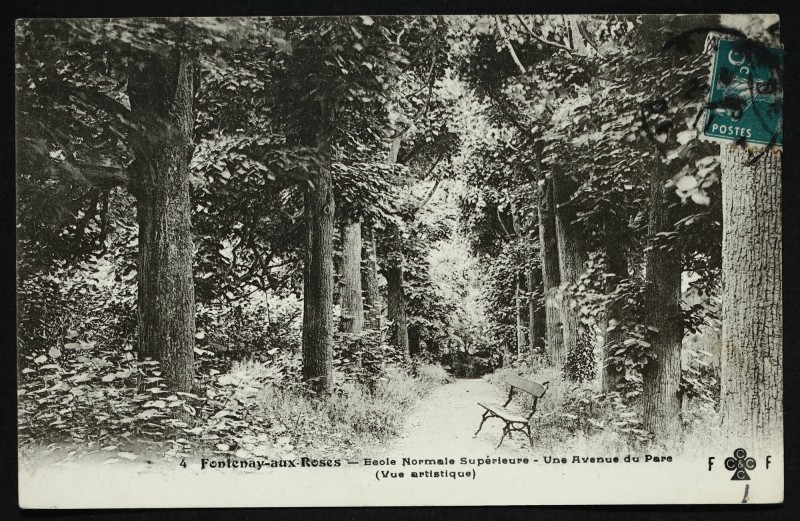 Carte postale ancienne Ecole Normale Supérieure - Une Avenue du Parc (Vue artistique) à Fontenay-aux-Roses