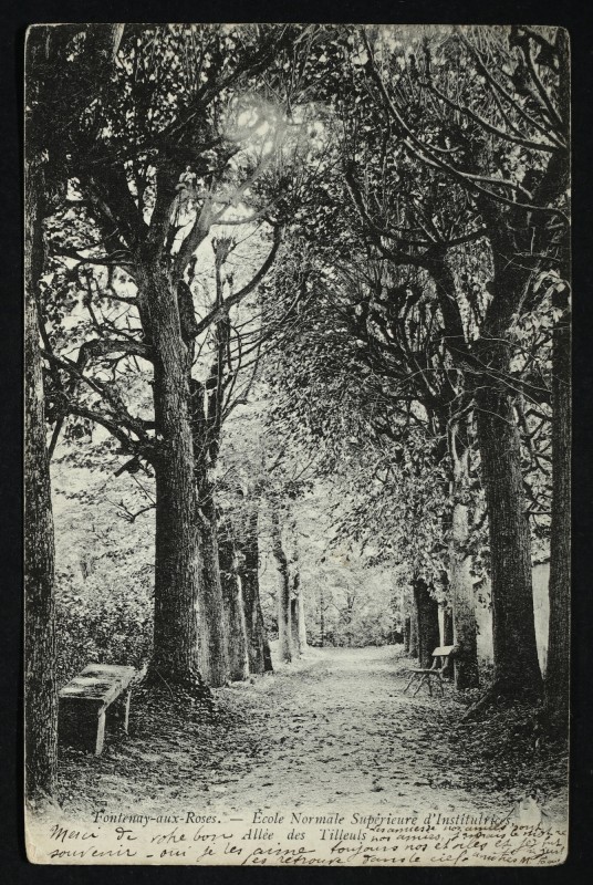 Carte postale ancienne Ecole Normale Supérieure d'Institutrice - Allée des Tilleuls à Fontenay-aux-Roses