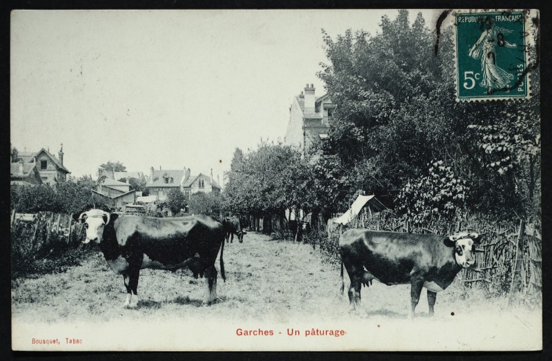 Carte postale ancienne Un pâturage à Garches