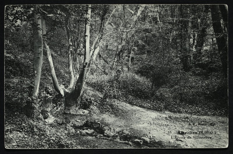 Carte postale ancienne L'Etang de Villeneuve à Marnes-la-Coquette