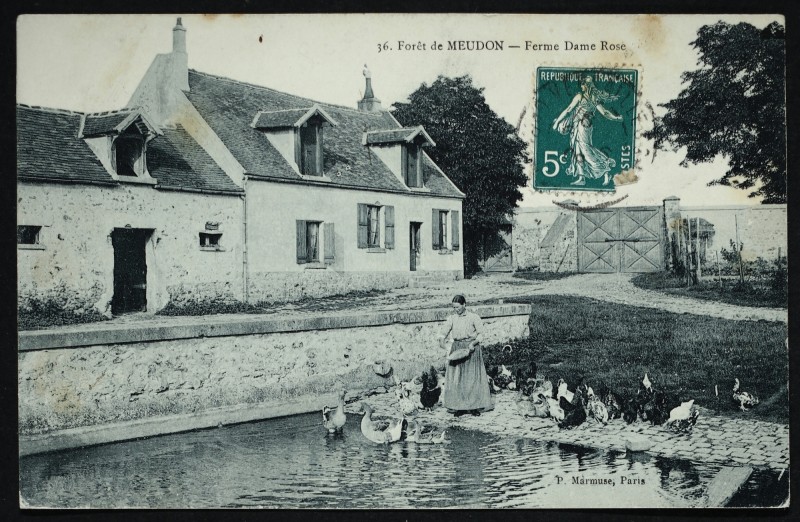 Carte postale ancienne Forêt de Meudon - Ferme Dame Rose à Vélizy-Villacoublay