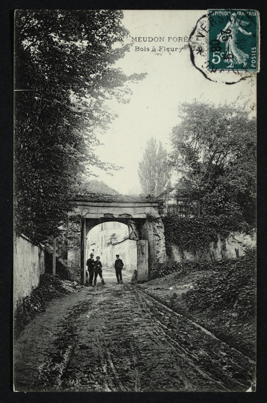 Carte postale ancienne Meudon forêt - Bois Fleury à Meudon