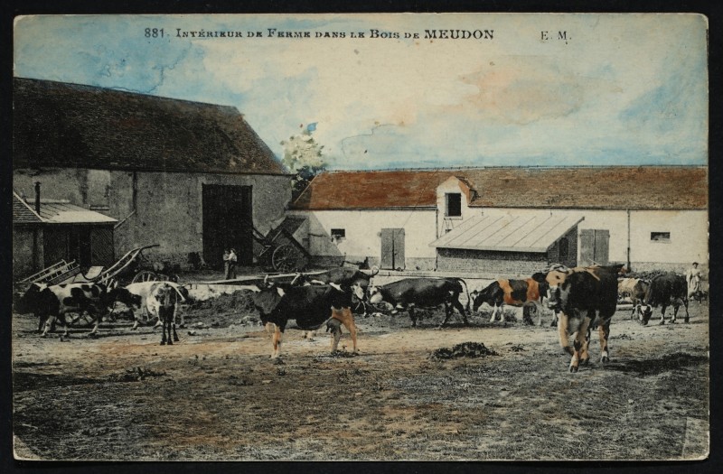 Carte postale ancienne Intérieur de Ferme dans le Bois de Meudon à Meudon