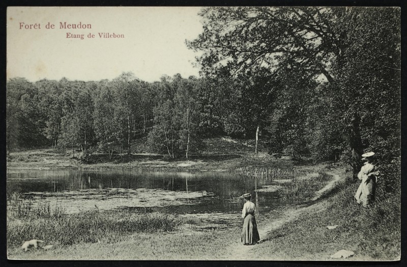 Carte postale ancienne Forêt de Meudon - Etang de Villebon à Meudon