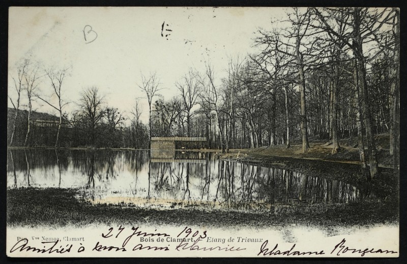Carte postale ancienne Bois de Clamart - Etang de Trivaux à Meudon