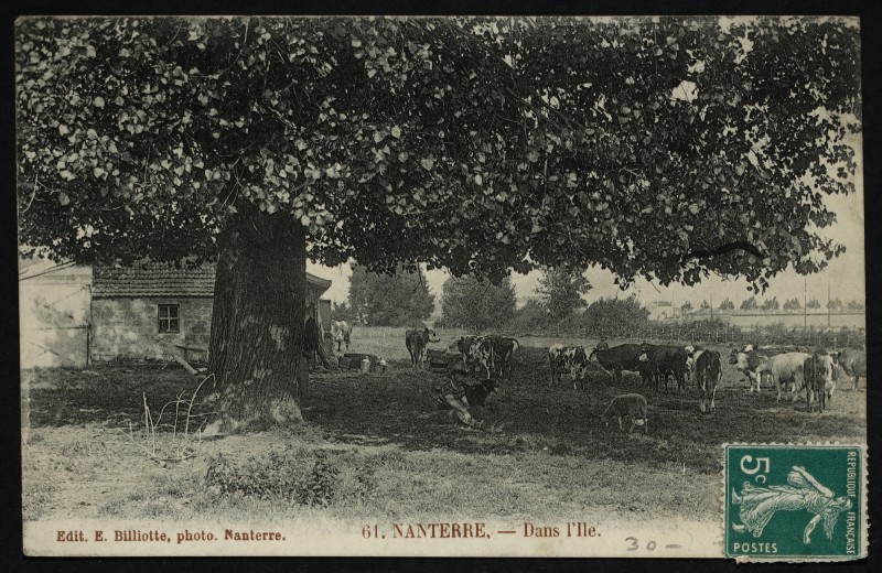 Carte postale ancienne  à Carrières-sur-Seine