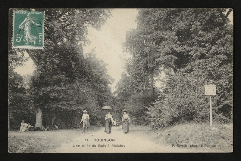 Carte postale ancienne Robinson - Une Allée du Bois à Malabry au Plessis-Robinson