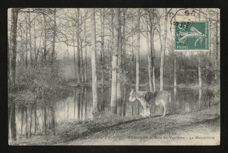 Carte postale ancienne Robinson - Bois de Verrières à Antony