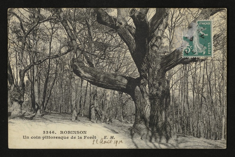 Carte postale ancienne Robinson - Un coin pittoresque de la Forêt au Plessis-Robinson