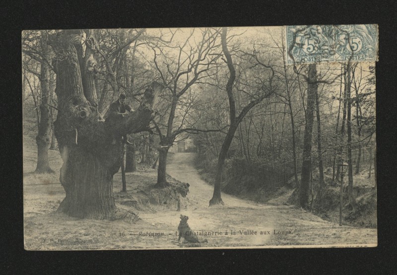 Carte postale ancienne Robinson - La Chataignerie à la Vallée aux Loups à Châtenay-Malabry