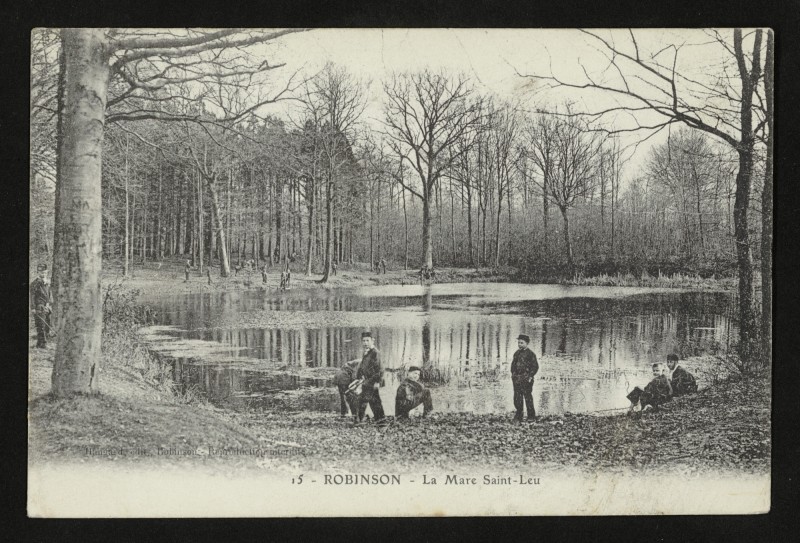 Carte postale ancienne Robinson - La Mare Saint-Leu au Plessis-Robinson