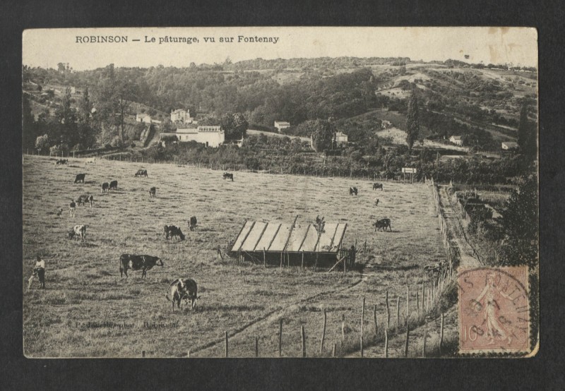 Carte postale ancienne Robinson - Le pâturage, vu sur Fontenay au Plessis-Robinson