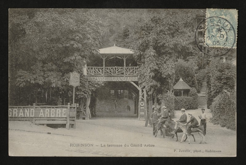 Carte postale ancienne Robinson - La terrasse du Grand Arbre au Plessis-Robinson