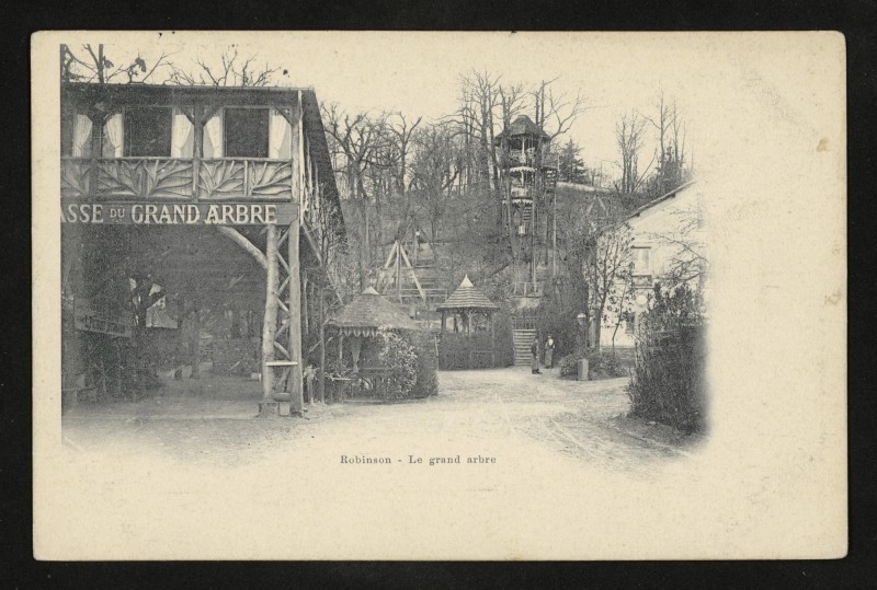 Carte postale ancienne Robinson - Le grand arbre au Plessis-Robinson