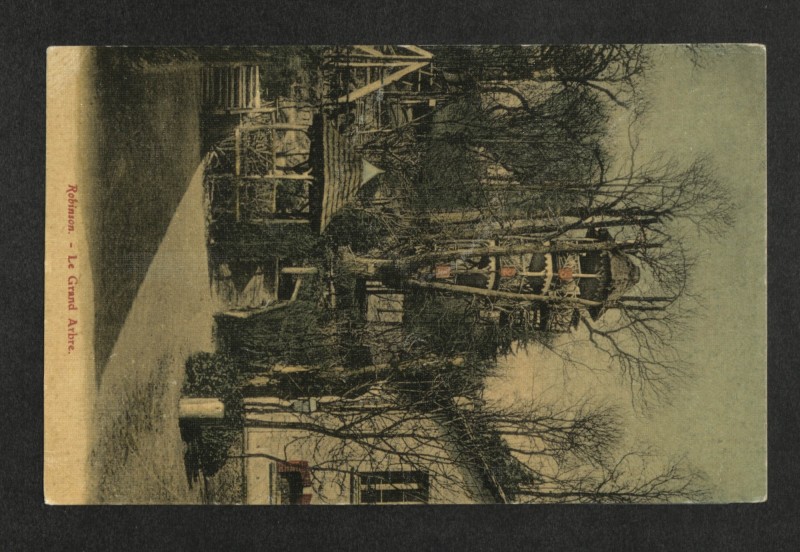 Carte postale ancienne Robinson - Le Grand Arbre au Plessis-Robinson