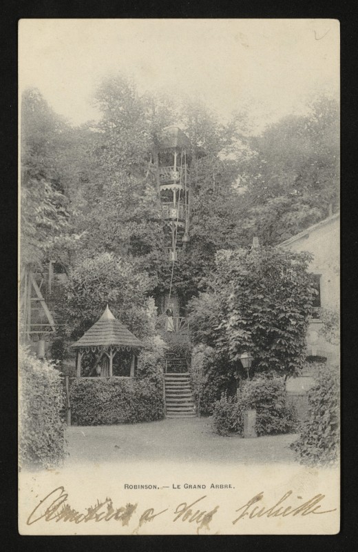 Carte postale ancienne Robinson - Le Grand Arbre au Plessis-Robinson