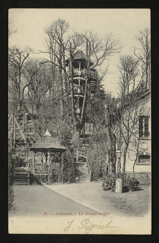 Carte postale ancienne Robinson - Le Grand Arbre au Plessis-Robinson