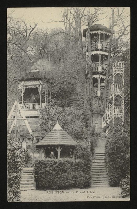 Carte postale ancienne Robinson - Le Grand Arbre au Plessis-Robinson