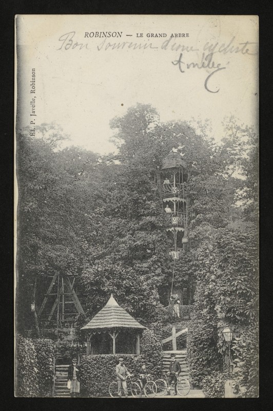 Carte postale ancienne Robinson - Le Grand Arbre au Plessis-Robinson