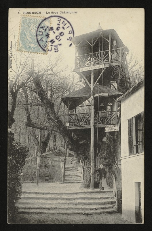 Carte postale ancienne Robinson - Le Gros Châtaignier au Plessis-Robinson