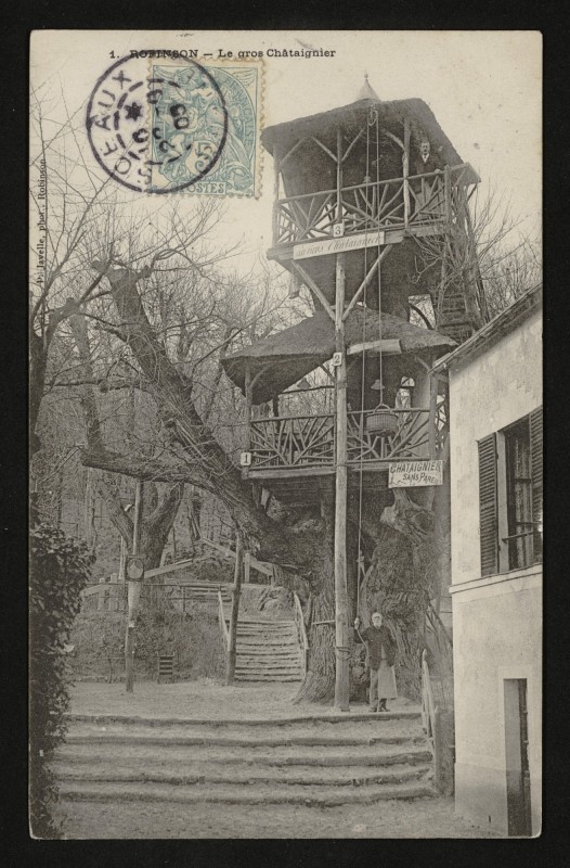 Carte postale ancienne Robinson - Le Gros Châtaignier au Plessis-Robinson