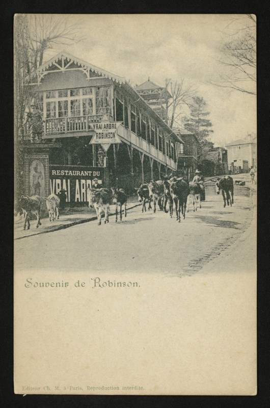 Carte postale ancienne Souvenir de Robinson au Plessis-Robinson