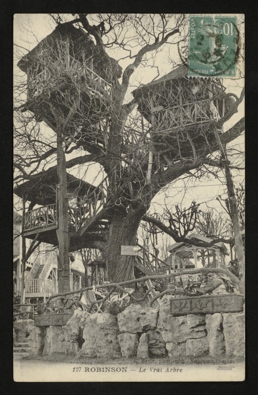Carte postale ancienne Robinson - Le Vrai Arbre au Plessis-Robinson