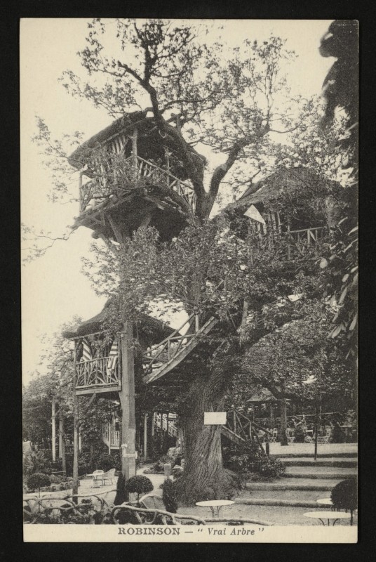 Carte postale ancienne Robinson - Le Vrai Arbre au Plessis-Robinson