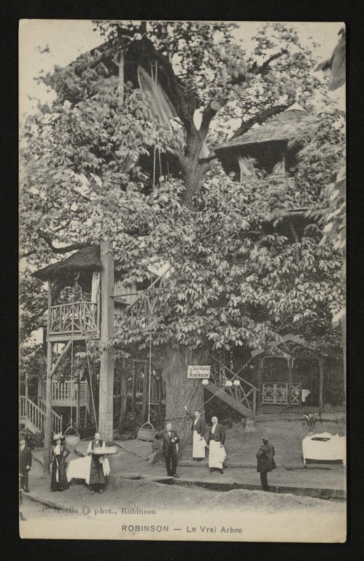 Carte postale ancienne Robinson - Le Vrai Arbre au Plessis-Robinson