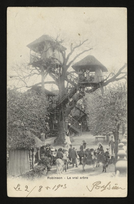 Carte postale ancienne Robinson - Le vrai arbre au Plessis-Robinson