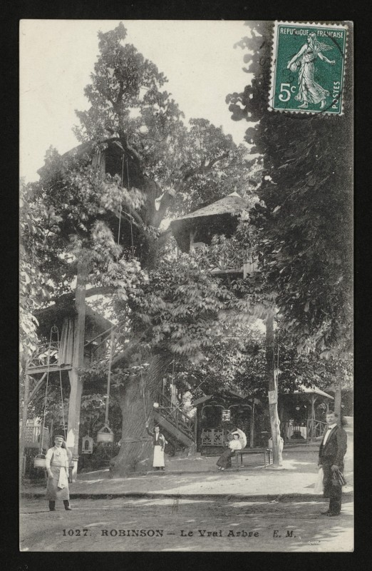 Carte postale ancienne Robinson - Le Vrai Arbre au Plessis-Robinson