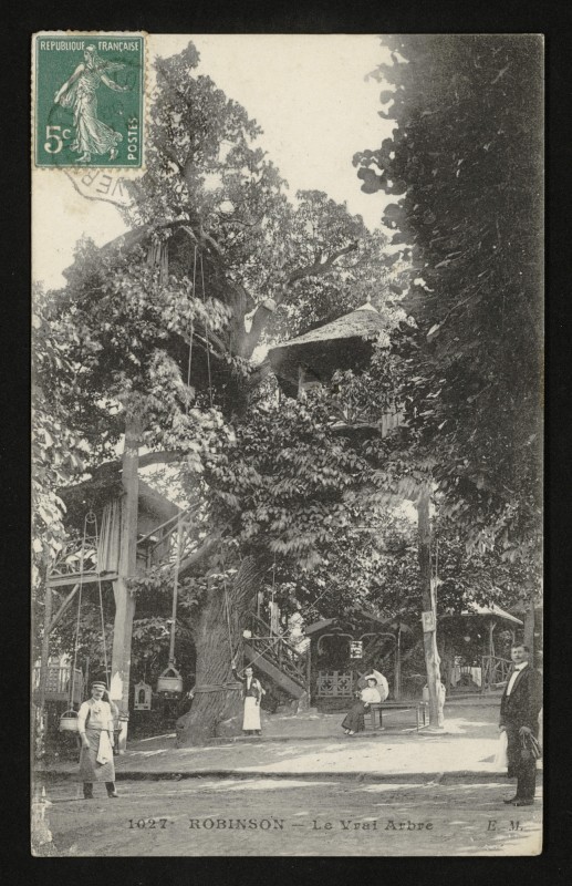 Carte postale ancienne Robinson - Le Vrai Arbre au Plessis-Robinson