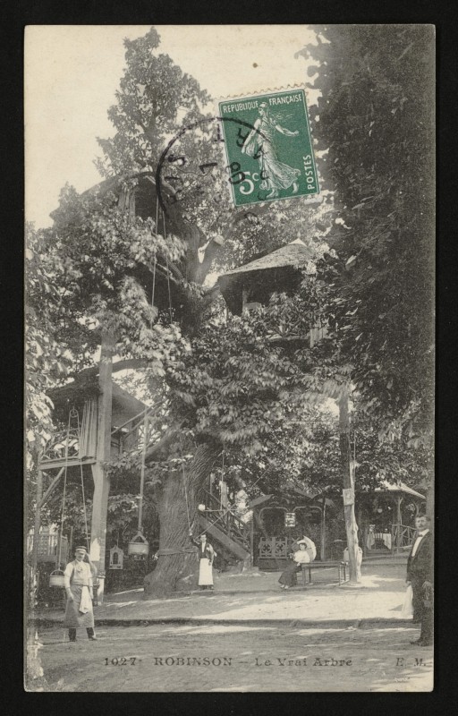Carte postale ancienne Robinson - Le Vrai Arbre au Plessis-Robinson