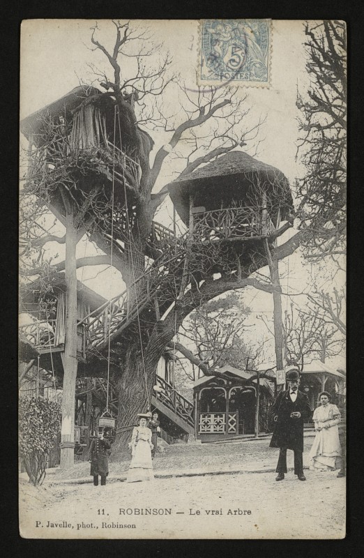 Carte postale ancienne Robinson - Le Vrai Arbre au Plessis-Robinson