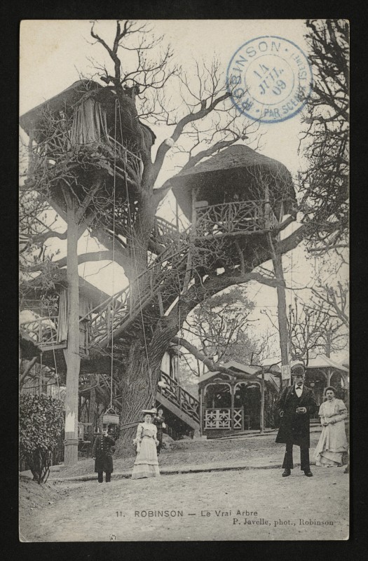 Carte postale ancienne Robinson - Le Vrai Arbre au Plessis-Robinson