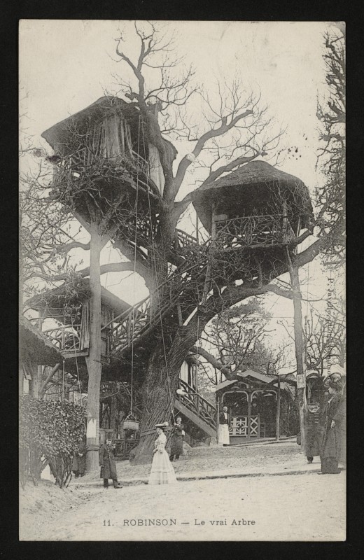 Carte postale ancienne Robinson - Le Vrai Arbre au Plessis-Robinson